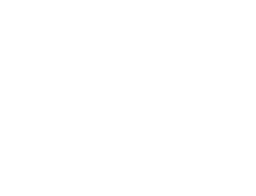 Bloop – International Proactive Art Festival